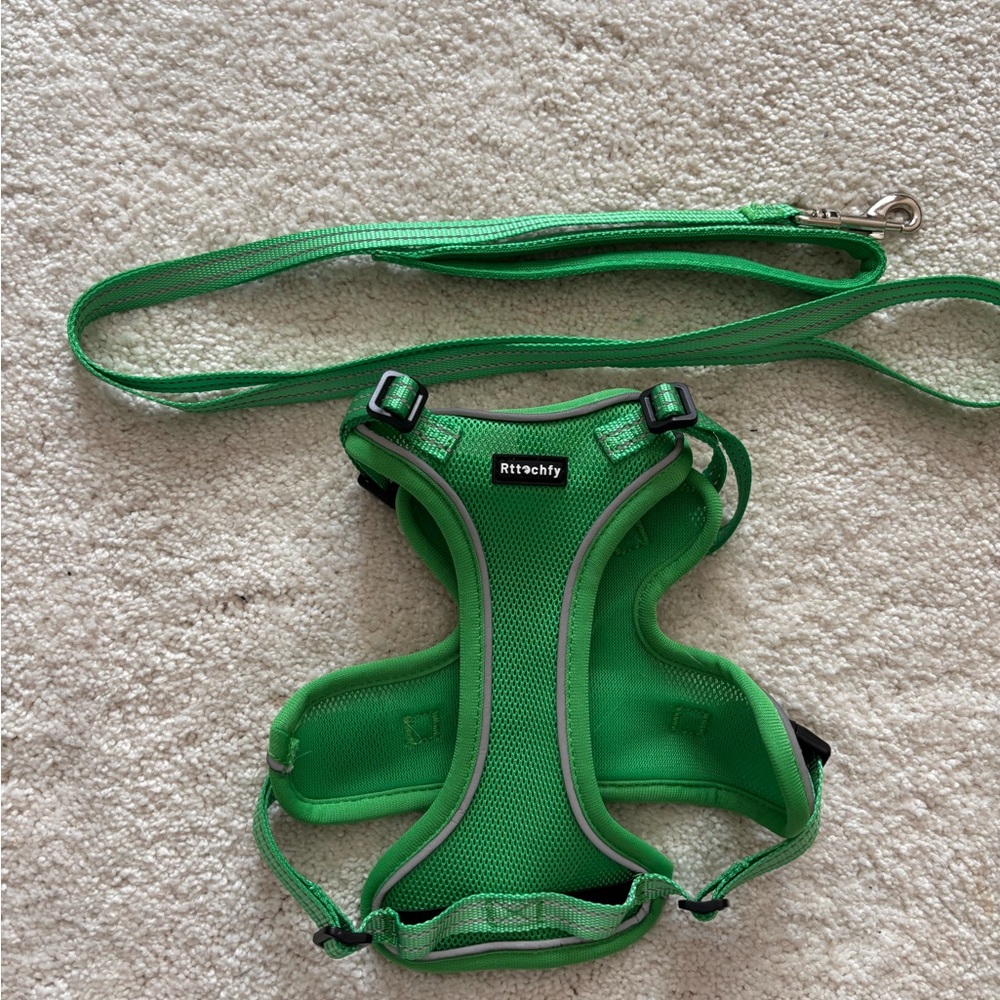 Cat leash